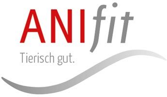 Network Marketing aufbauen