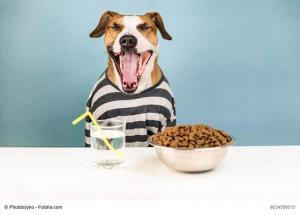 Hundefutter Deklaration