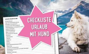 Checkliste Urlaub mit Hund finden