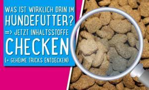 Hundefutter Inhaltsstoffe