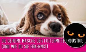 Hundefutter Skandal