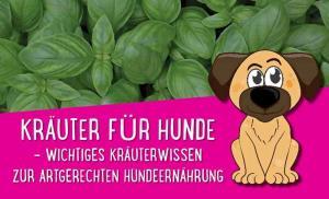 Kräuter für Hunde