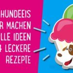 Hundeeis selber machen – tolle Ideen + 4 leckere Rezepte 🍦