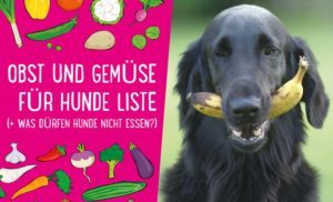 Obst und Gemüse für Hunde
