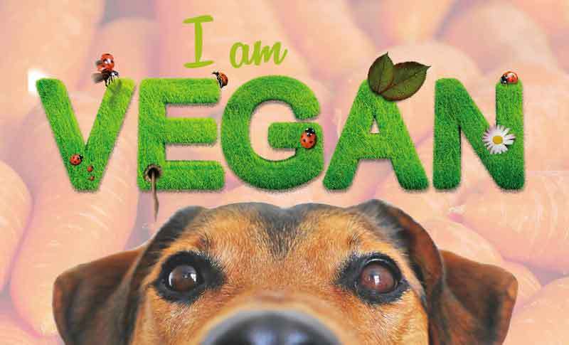 Warum vegane Hundeernährung nicht zu empfehlen ist
