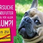 Tierversuche für Hundefutter – wie, was & vor allem: warum?! (+ PETA-Liste Hundefutter ohne Tierversuche)