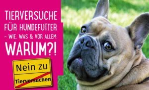 Hundefutter ohne Tierversuche