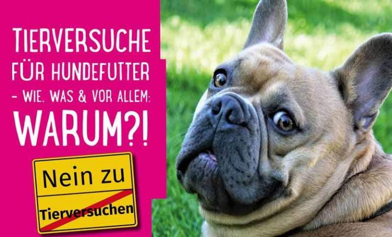 Mehr über den Artikel erfahren Tierversuche für Hundefutter – wie, was & vor allem: warum?! (+ PETA-Liste Hundefutter ohne Tierversuche)