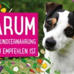 Warum vegane Hundeernährung nicht zu empfehlen ist