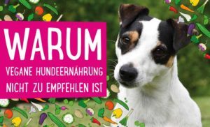 vegane Hundeernährung