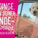 12 Dinge die in deiner Hunde-Reiseapotheke nicht fehlen dürfen