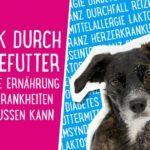 Hundekrankheiten – Wie die Ernährung Hundekrankheiten beeinflussen kann