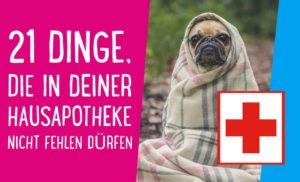 Hausapotheke Hund
