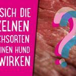 Wie sich die einzelnen Fleischsorten auf deinen Hund auswirken