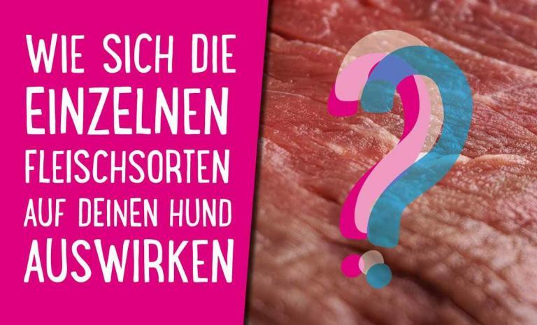 Mehr über den Artikel erfahren Wie sich die einzelnen Fleischsorten auf deinen Hund auswirken