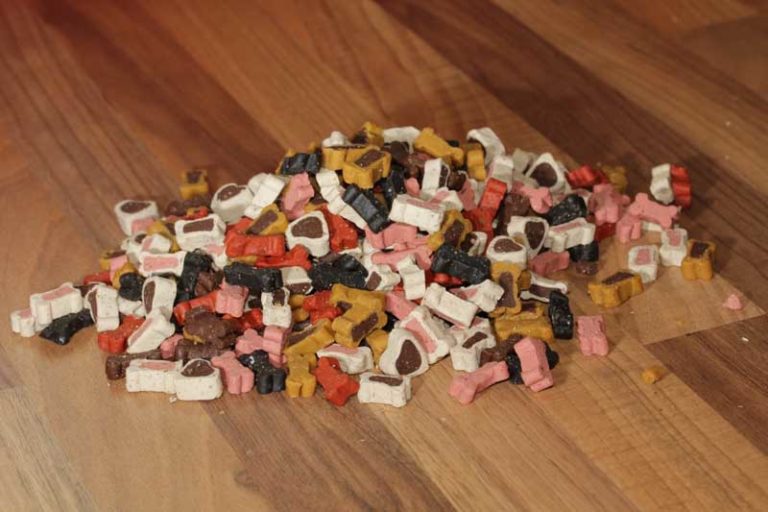 Mehr über den Artikel erfahren 12 Alternativen zu ungesunden Leckerlies – mit Spiel und Spaß dem Hund etwas beibringen