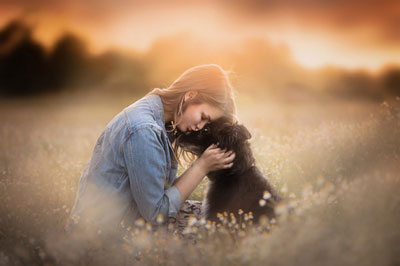 Hundefutter-online-bestellen