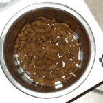 Was bedeutet es, wenn Hundefutter extrudiert ist?