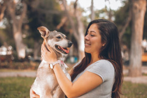 Homöopathie für Hunde