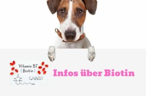 Biotin für Hunde