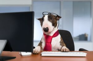 Bürohund