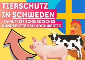 Tierschutz Schweden